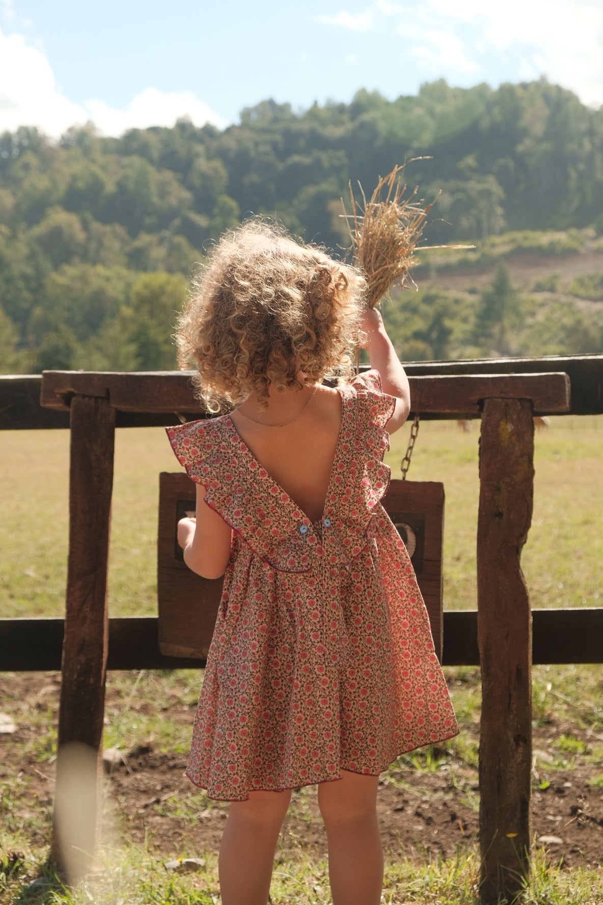 Vestido Galia Rosa